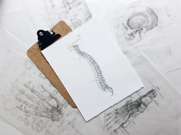 Illustration de l'ostéopathie somato-émotionnelle